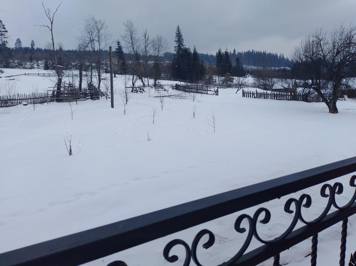 Villa Дзвін Карпат Lazeshchyna Exterior foto